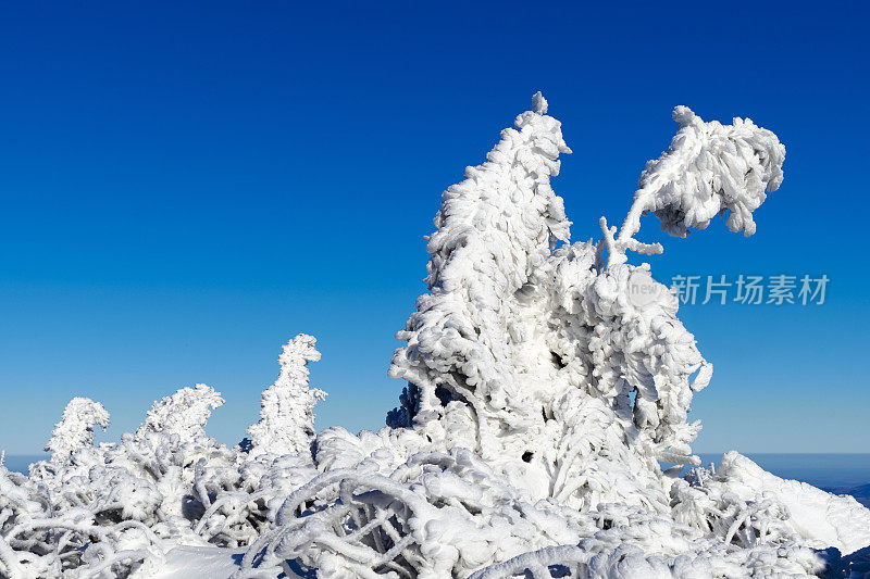 克尔科诺斯， 里森贝格